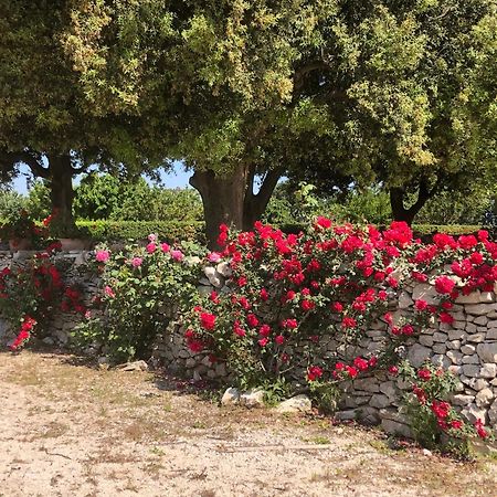 Ai Pilieri Di Bagnoli Villa Castel Del Monte  Eksteriør billede