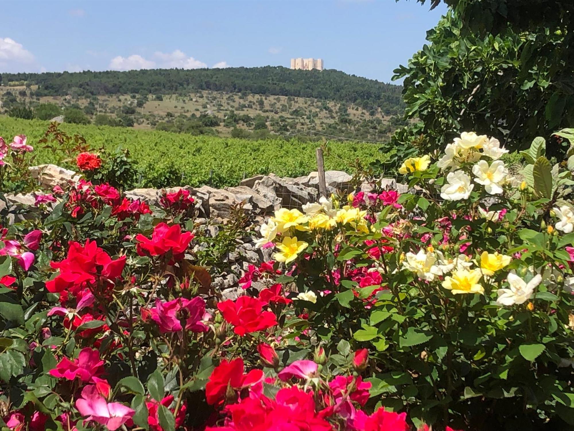 Ai Pilieri Di Bagnoli Villa Castel Del Monte  Eksteriør billede
