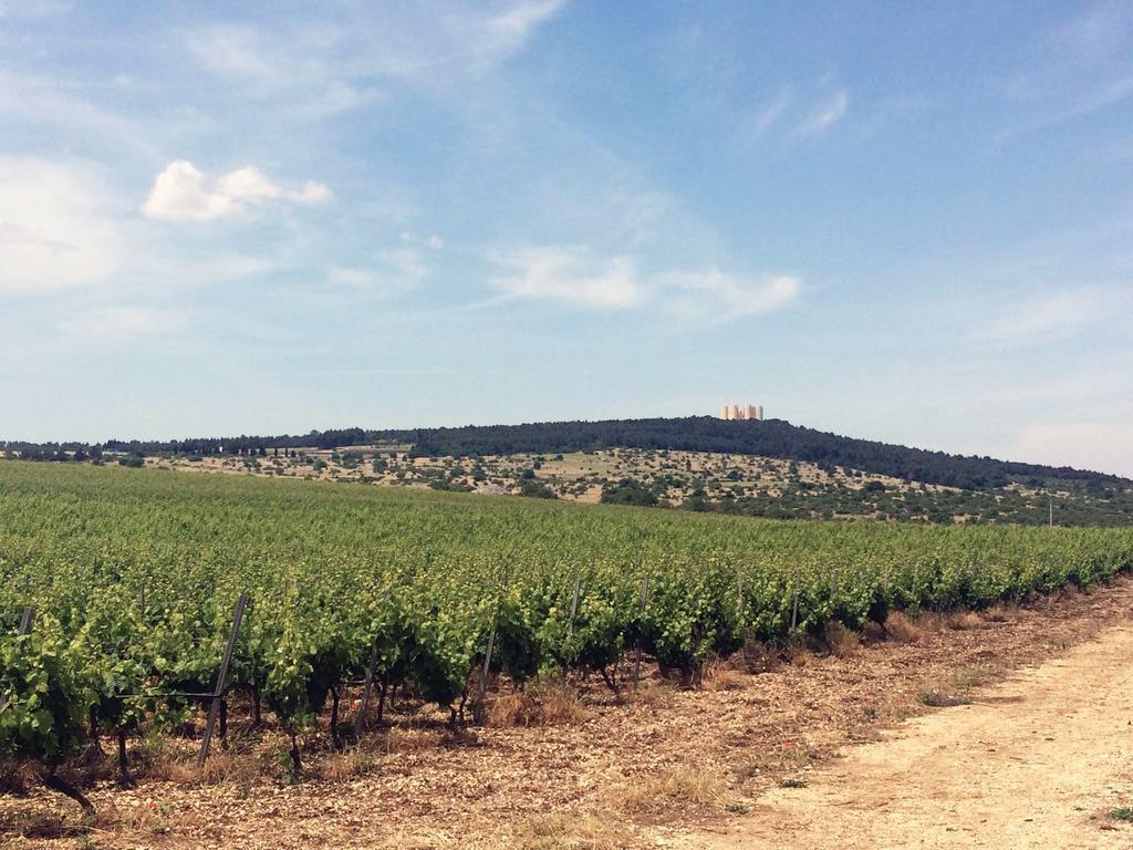 Ai Pilieri Di Bagnoli Villa Castel Del Monte  Eksteriør billede